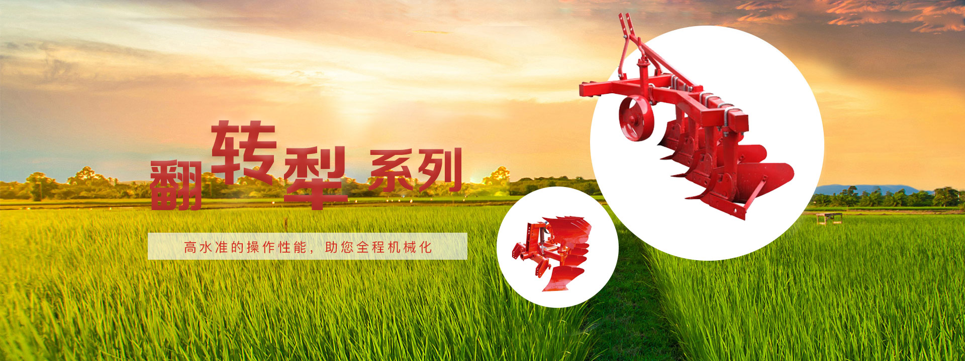 常青农业